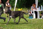 CRW_5086