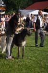 CRW_5102