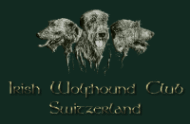 Irish Wolfhound Club of Switzerland