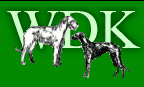 W.D.K. Wolfhound Deerhound Klub