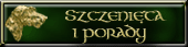 szczenita - wilczarz irlandzki